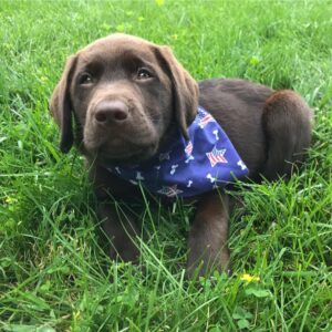 Finley